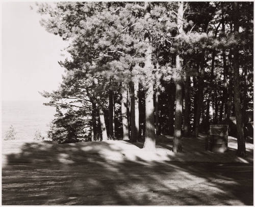 Photo: Elizabeth Mann