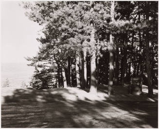 Photo: Elizabeth Mann
