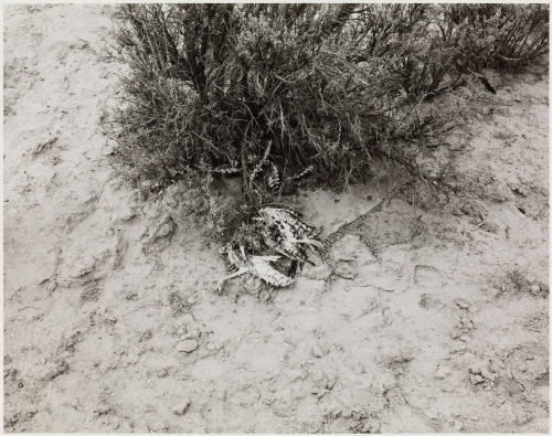Photo: Elizabeth Mann