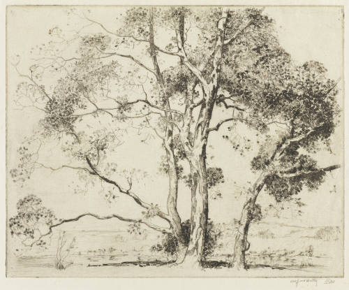 Photo: Elizabeth Mann