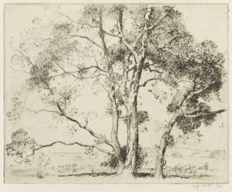 Photo: Elizabeth Mann