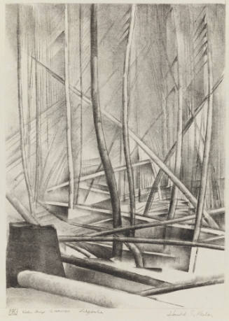 Photo: Elizabeth Mann