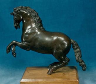 Rearing Horse