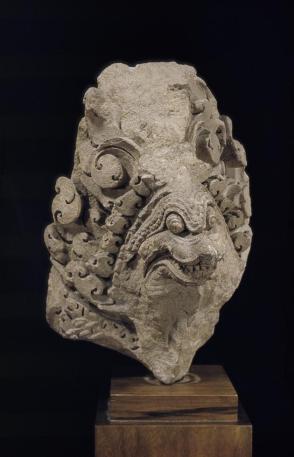 Naga head