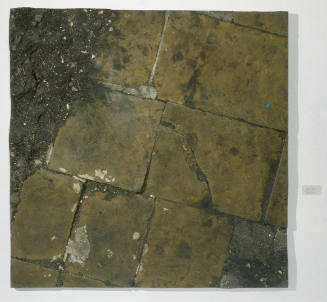 Stone Pavement with Earth