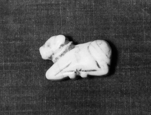 Amulet