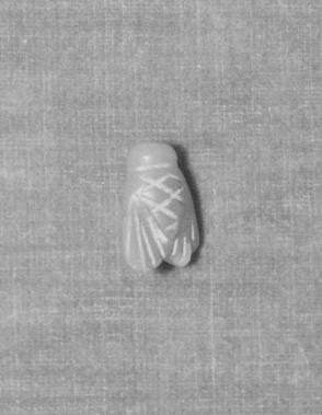 Amulet