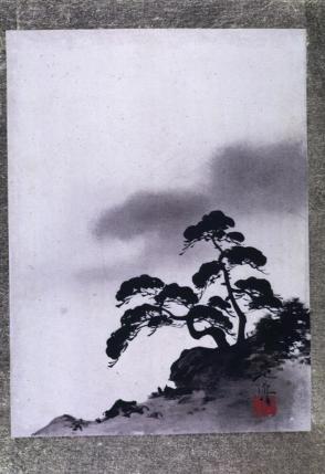 Pine Tree Silhouetted Aginst Cloudy Sky