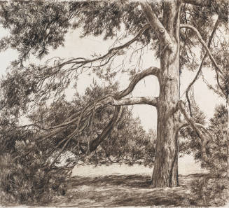 Photo: Elizabeth Mann