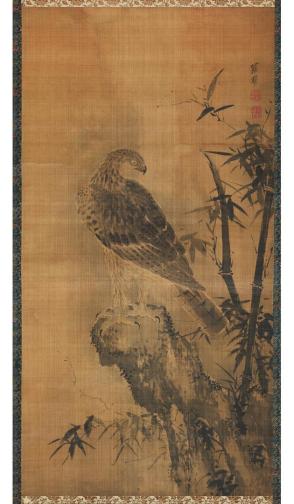 Hawk on a rock