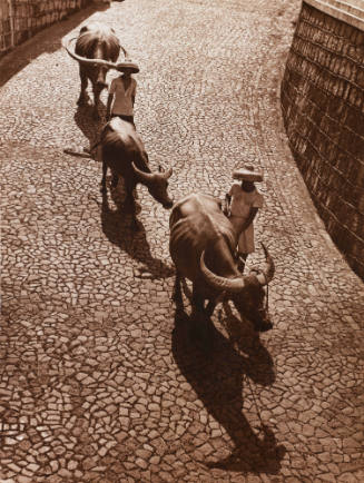 Photo: Elizabeth Mann
