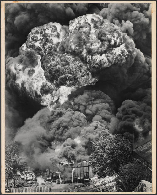 Photo: Elizabeth Mann