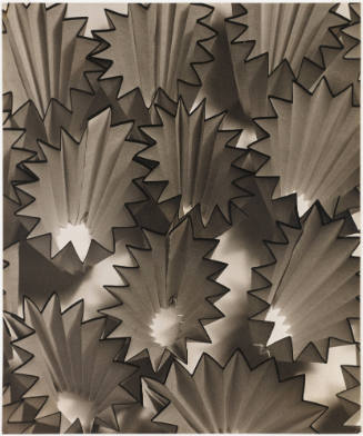 Photo: Elizabeth Mann