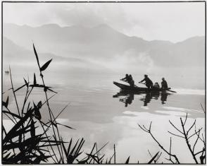 Rowing in a Calm Morning