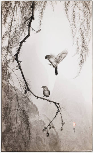 Photo: Elizabeth Mann