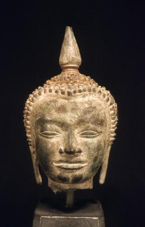 Buddha Head