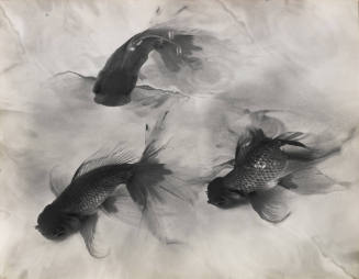 Photo: Elizabeth Mann