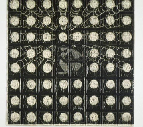 Kinetics of Squares and Circles