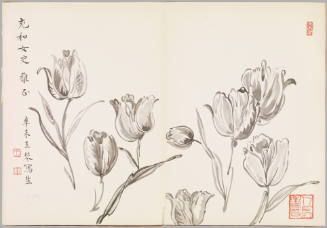 Photo: Elizabeth Mann