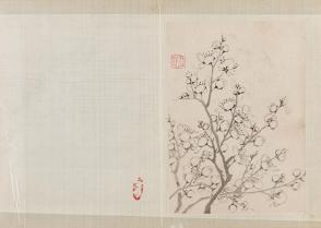 Flowering Plum