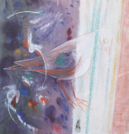 Bird #4 (The Multicolored One)