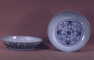 Dish