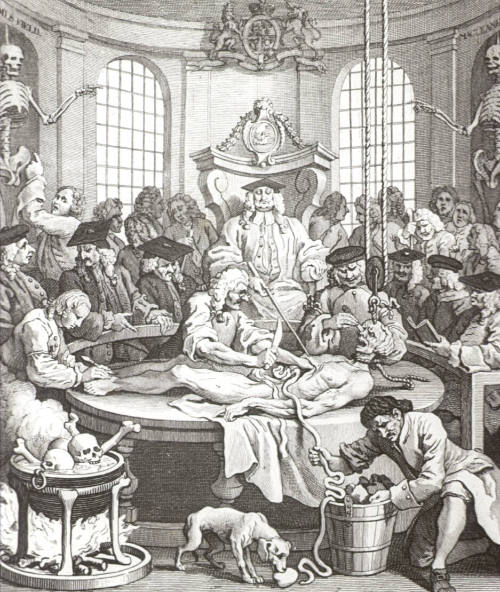 The Reward of Cruelty