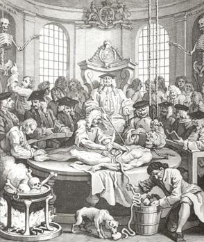 The Reward of Cruelty