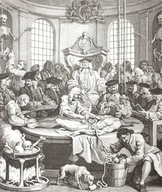 The Reward of Cruelty