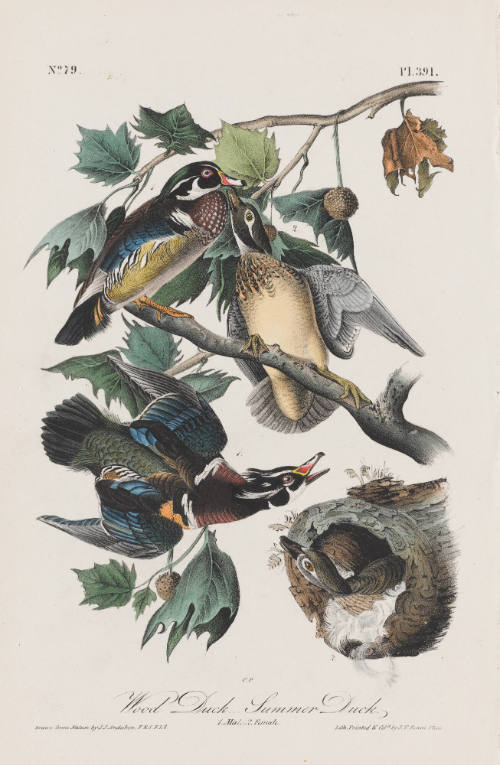 Photo: Elizabeth Mann