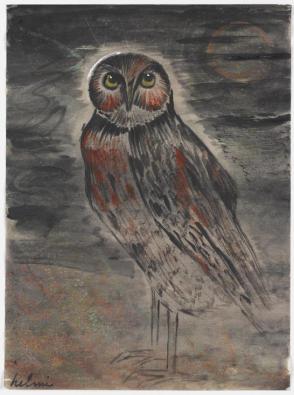 Owl