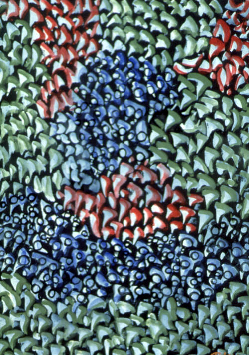 Variations