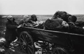 Carting the Dead, Kerch, Crimea, January 1942