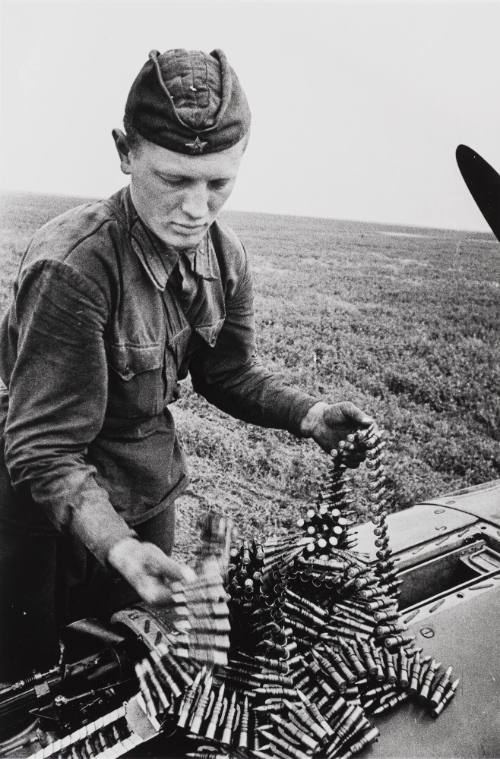 Photo: Elizabeth Mann