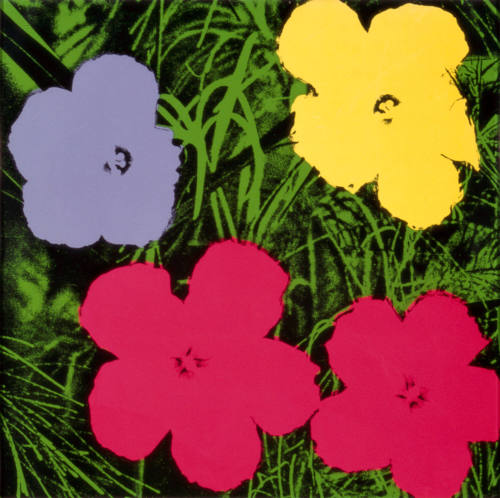 Flowers, from the Flowers portfolio