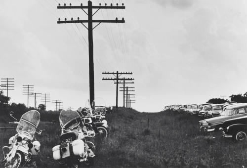 Photo: Elizabeth Mann