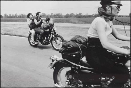 Photo: Elizabeth Mann