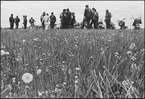 Photo: Elizabeth Mann