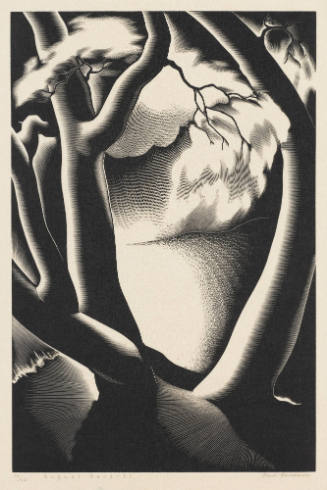 Photo: Elizabeth Mann