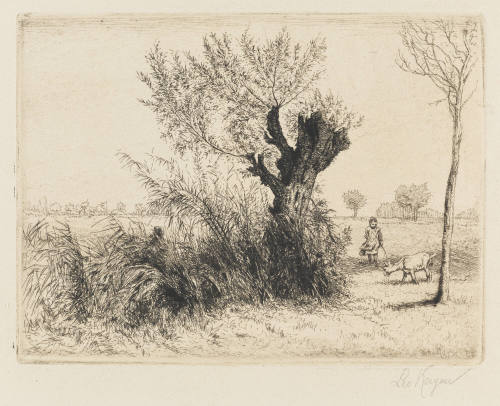 Photo: Elizabeth Mann