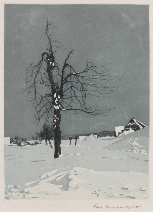 Photo: Elizabeth Mann