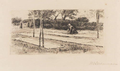 Photo: Elizabeth Mann