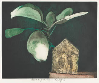 Photo: Elizabeth Mann