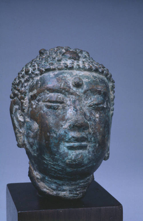 Buddha's Head