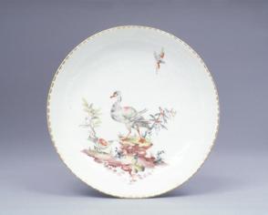 Saucer