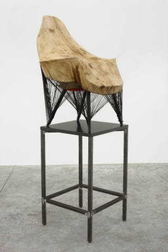 Photo: Casey Kaplan Gallery