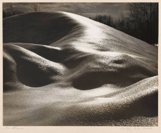 Photo: Elizabeth Mann
