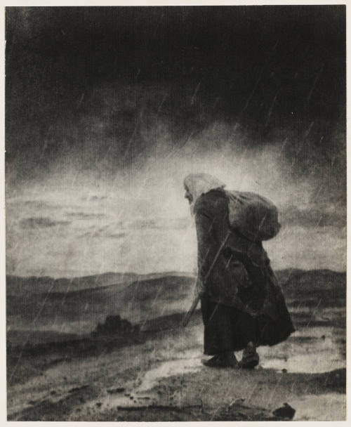 Photo: Elizabeth Mann
