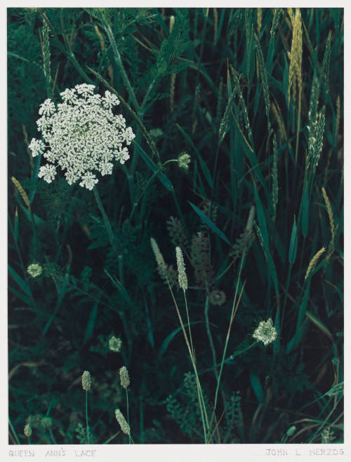 Photo: Elizabeth Mann