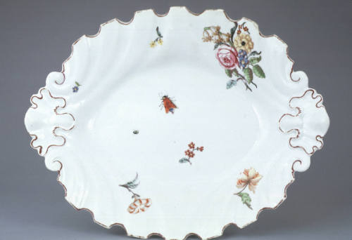 Dish